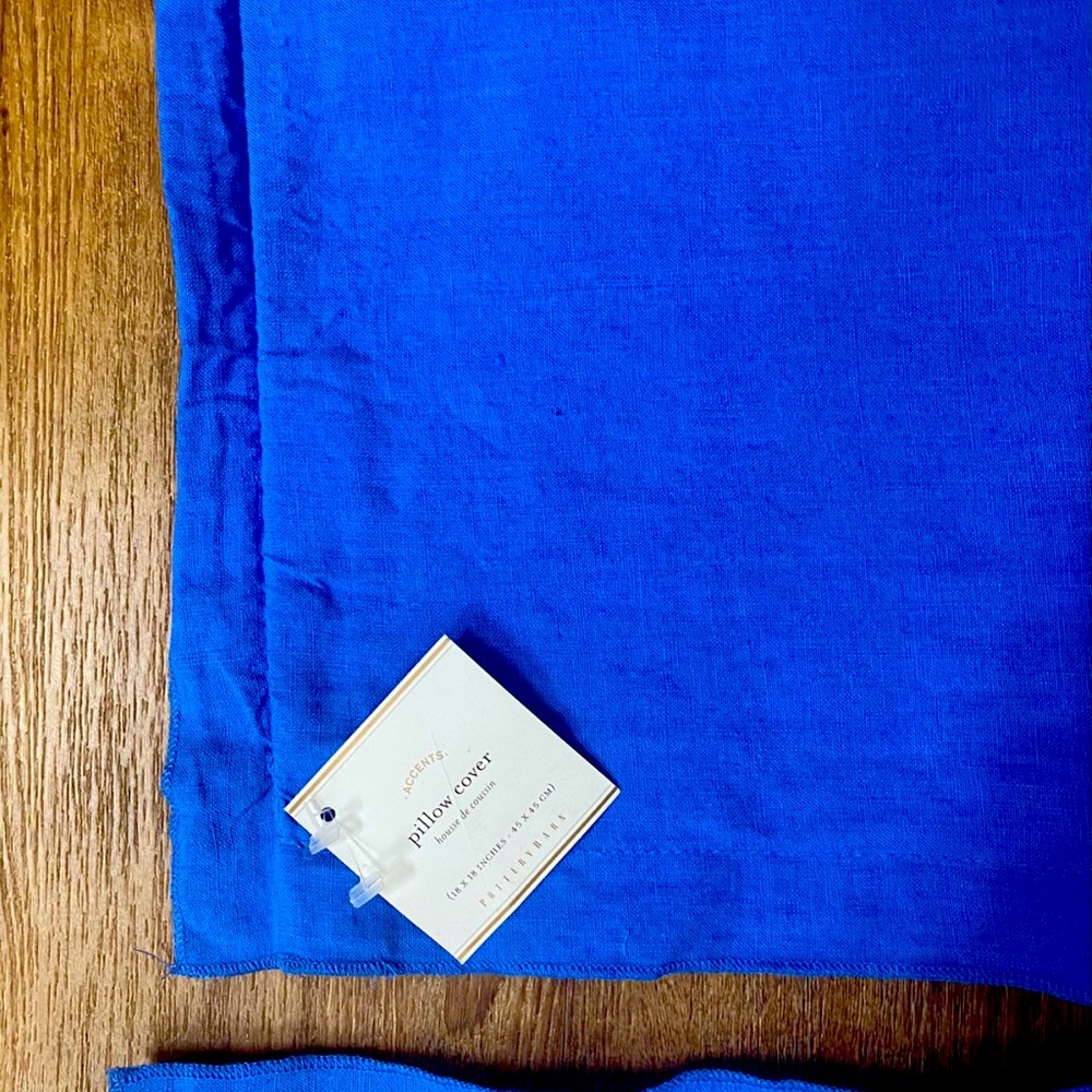 Pottery Barn Pillow cases